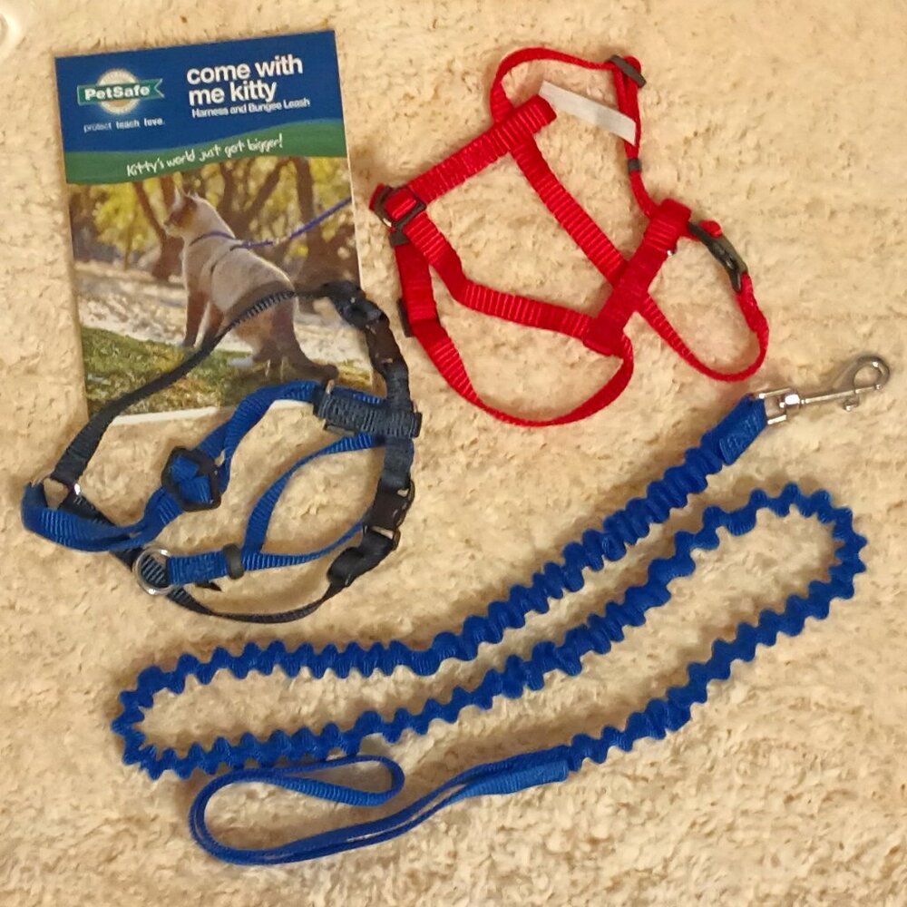 EUC~ PetSafe Come w/ Me Kitty Nylon Cat Harness & Bungee Leash + 1 Red Harness